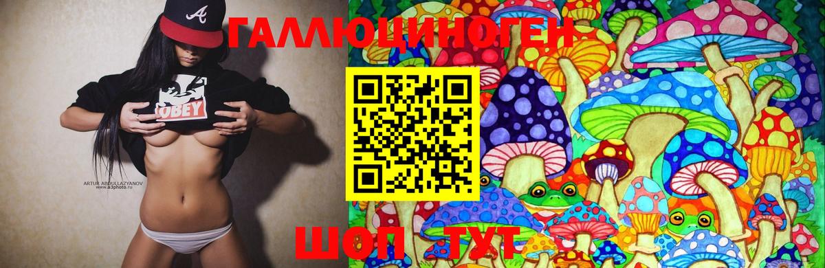 Галлюциногенные грибы Psilocybe Краснокаменск