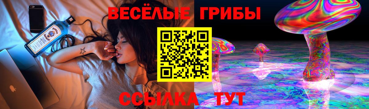 Краснокаменск  Псилоцибиновые грибы Magic Shrooms  Псилоцибиновые грибы Psilocybe  Вход с VPN 